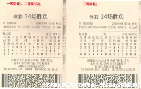 核心团队与专业资质